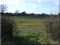 Field entrance off the A38