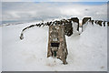 SD7381 : Whernside Trig Point under snow by Tom Richardson