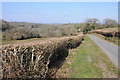 Country road north of Bancyfelin