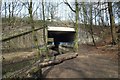 Footpath under the motorway