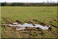 Muddy puddle beside Fole Lane