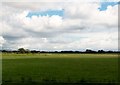 Reclaimed marshes between the A499 and Traeth Cruggan