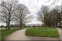 TQ3092 : Broomfield Park, London  N13 by Christine Matthews