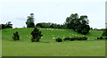 Pasture south of Lowsonford, Warwickshire