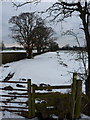 Footpath to Halfway House