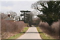 Limber Hill, looking towards Bellows Wood