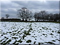 Footpath across fields north of Vennington village