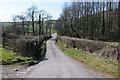 Country road below Llanybri