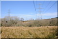 SN3114 : Electricity pylons by Philip Halling