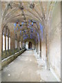 ST9168 : Light show in the cloisters by Virginia Knight
