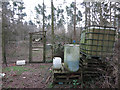 Pheasant rearing, Cranwich Heath