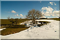 Footsteps in the snow