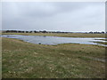 Waterlogged grazing near Highthorn