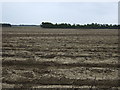 Ploughed field east of the A1068