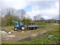 Bere Regis, watercress harvesting