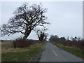 Minor road heading east towards South Broomhill