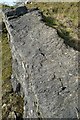 Slickensides, old quarry at Calver Low