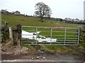 Footpath past New House Hill