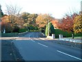 Autumn colour at the junction of Marguerite Park and Bryansford Road