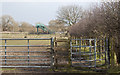 Footpath to New Farm    