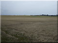 NU2206 : Farmland, Eastfield by JThomas