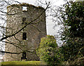 Old windmill, Saintfield (2)