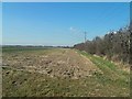 Footpath to the A1031 Humberston Road