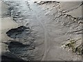 Tidal sand and mud at Glencaple