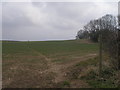 Footpath off Saxton Lane towards Whithill Field