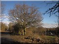 Nidderdale Greenway at Beck Farm