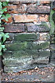 Benchmark on wall pier at Burnham House, Elm Bank