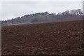 Ploughed field east of Kirriemuir