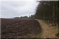 Ploughed field and woodland, Checkiefield, Kirriemuir