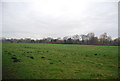 Farmland near Wickhambreaux