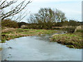 River Roding