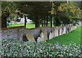 Gravestones at Chapel Farm