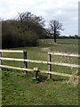 Footpath to the Furze