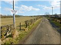 Footpath to viewpoint