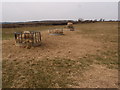 Three feed rings by the Rutland Round Long Distance Walking path