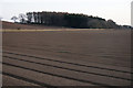 NO2543 : Manicured fields, Cronan, near Coupar Angus by Mike Pennington