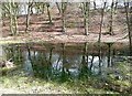 Pond off Stoney Ridge Road