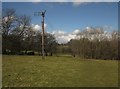 SE3359 : Electricity transmission pole near Lingerfield by Derek Harper