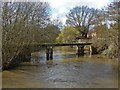 River Wey, Brooklands