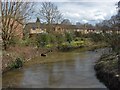 River Wey, Brooklands