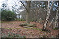 A pile of stakes, Broadwater Forest