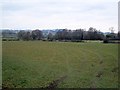 SO4882 : Field, Culmington by Richard Webb
