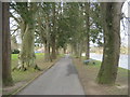 Tree lined walk alongside the River Wye in Builth Wells