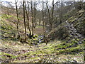 Hart Holes Clough, near Holmfirth