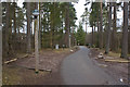 Birchwood, Center Parcs, Whinfell Forest