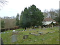 St John the Baptist, Burley: churchyard (15)